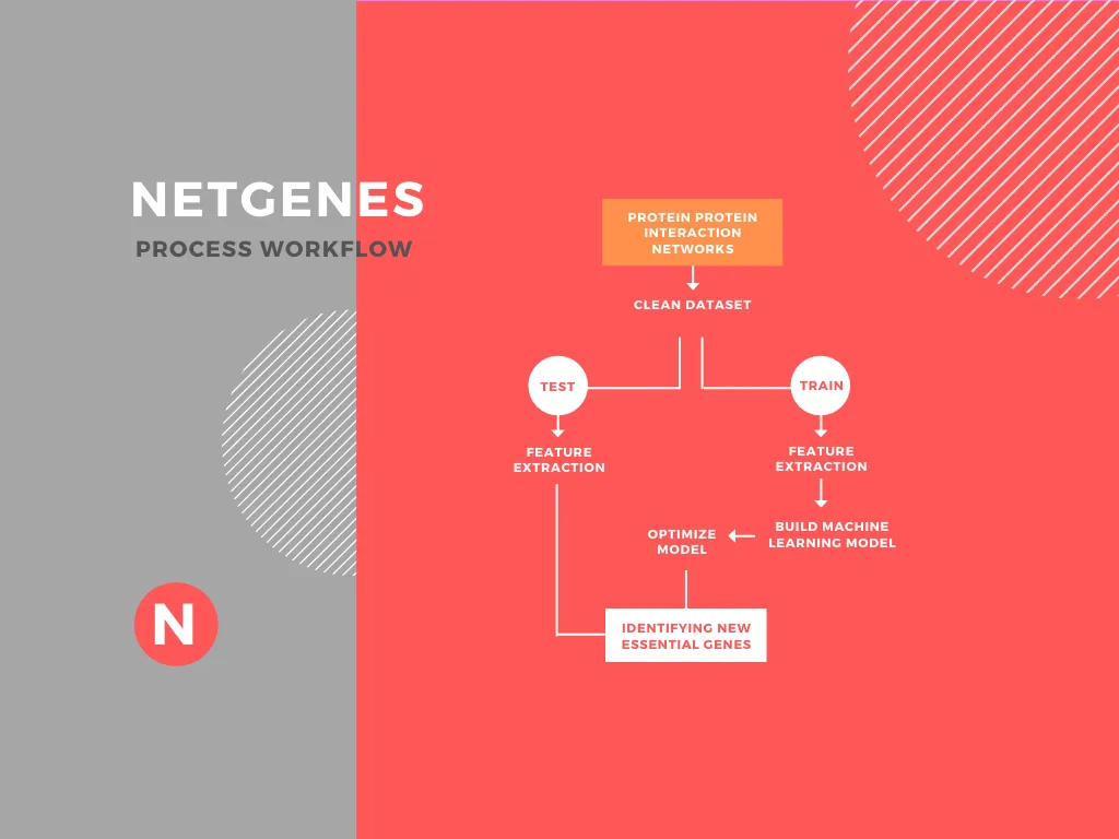 NetGenes - a web database for computationally predicted essential genes