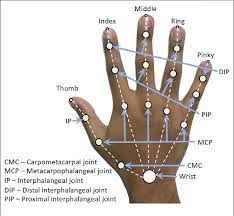 Corrective Filter Based on Kinematics of Human Hand for Pose Estimation