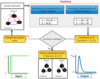 Discovering adaptation-capable biological network structures using control-theoretic approaches