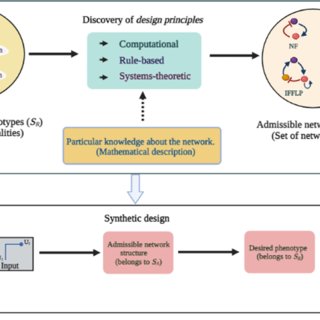 Discovering design principles for biological functionalities Perspectives from systems biology