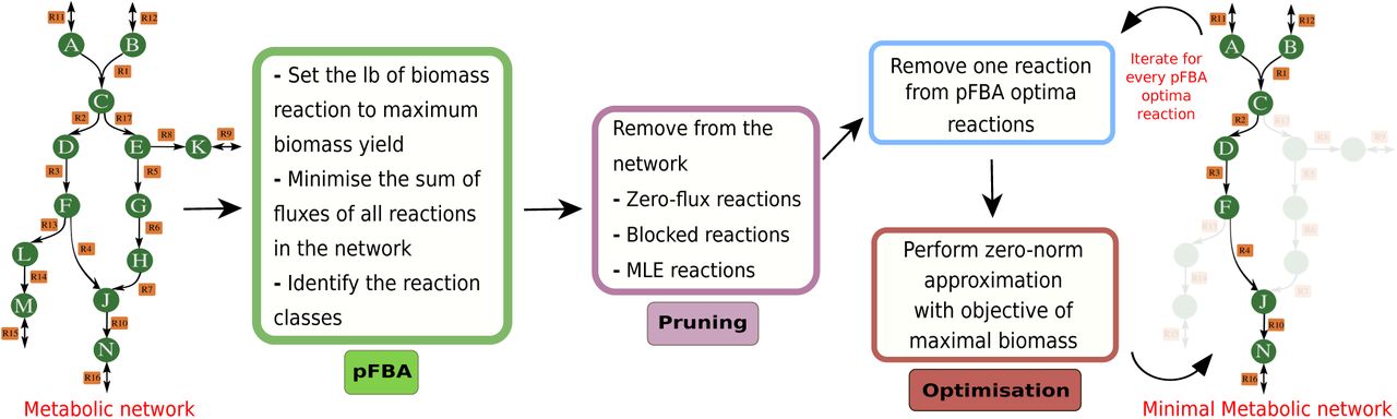 MINREACT: an efficient algorithm for identifying minimal metabolic networks