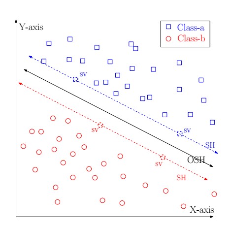 On the primal-dual dynamics of Support Vector Machines