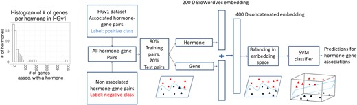  Predicting cross-tissue hormone–gene relations using balanced word embeddings