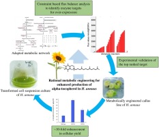 Rational metabolic engineering for enhanced alpha-tocopherol production in Helianthus annuus cell culture