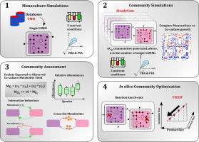 Two-species community design of lactic acid bacteria for optimal production of lactate
